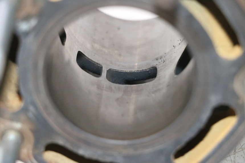 photo de CYLINDER BARREL PISTON HONDA FES PANTHEON 2T 125 (1998 - 2002) - Surface and material condition