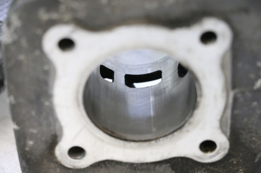 photo de CYLINDER BARREL PISTON PEUGEOT LUDIX ONE 50 (2004 - 2013) - Product overview
