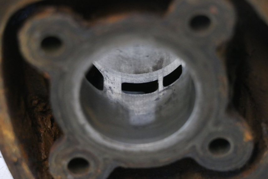 photo de CYLINDER BARREL PISTON MBK NITRO 50 (2004 - 2008) - Distinctive features