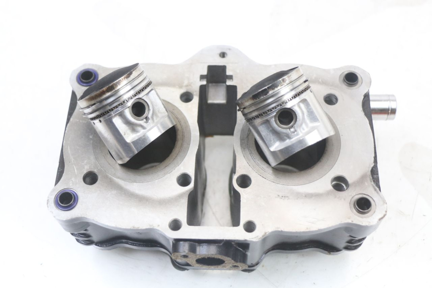 photo de CYLINDER BARREL PISTON REGAL RAPTOR RAXTER 2 125 (2007 - 2015) - Component detail