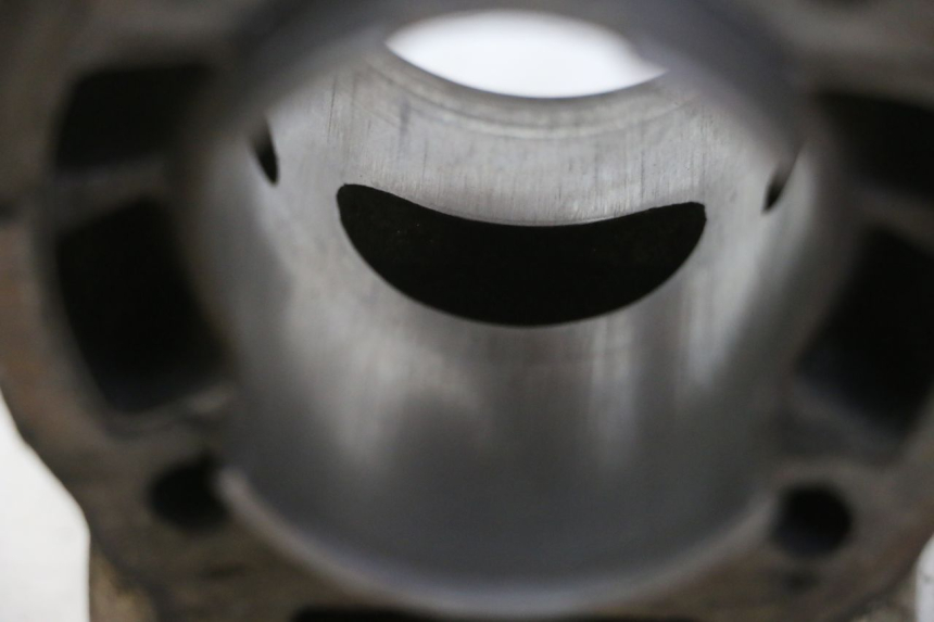 photo de CYLINDER BARREL PISTON DERBI SENDA SM DRD 50 (2008 - 2013) - Technical close-up