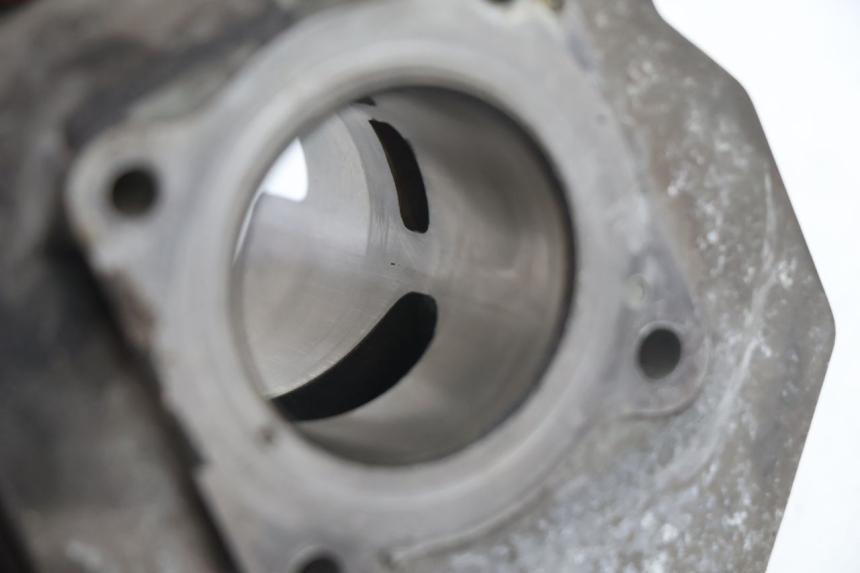 photo de CYLINDER BARREL PISTON PEUGEOT SPEEDFIGHT 2 AC 50 (2000 - 2009) - Markings and original references