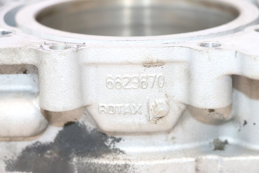 photo de CYLINDER BARREL PISTON CAN-AM SPYDER RS 1000 (2008 - 2012) - Spare part profile view