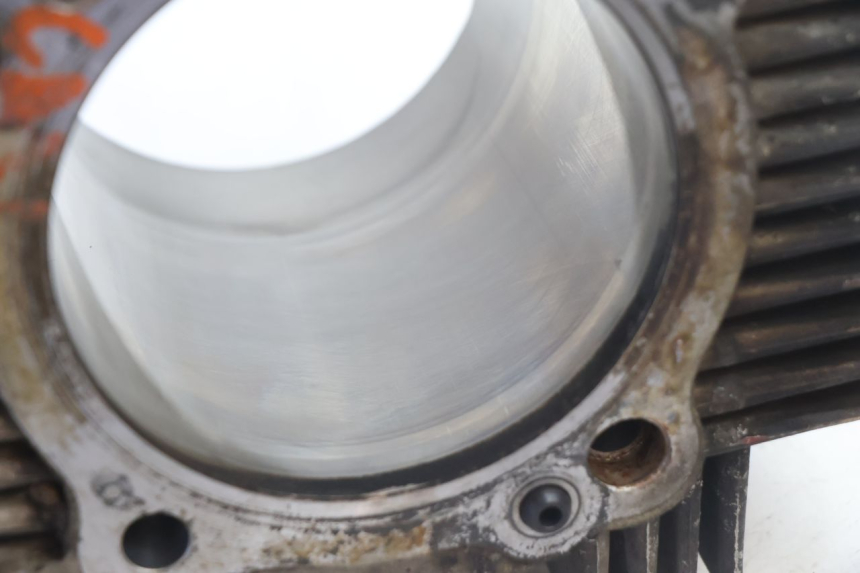 photo de CYLINDER BARREL PISTON DUCATI SS IE DS CARENEE 1000 (2002 - 2006) - Spare part profile view
