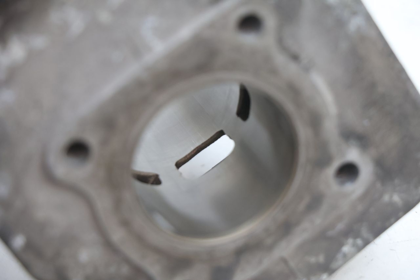 photo de CYLINDER BARREL PISTON PEUGEOT TREKKER 50 (1995 - 2004) - Distinctive features
