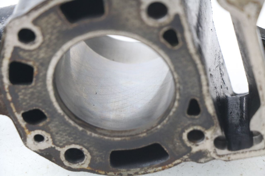 photo de CYLINDER PISTON PIAGGIO X9 125 (2000 - 2003) - Alternative perspective