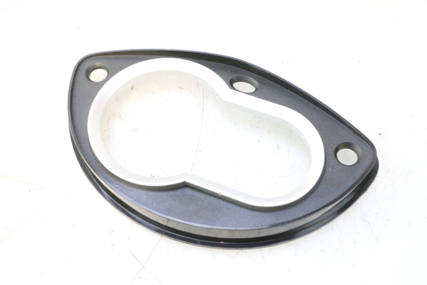 photo de SPEEDOMETER PANEL PEUGEOT TWEET 4T 50 (2018 - 2022) - Main view