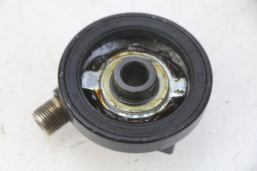 photo de SPEEDOMETER DRIVE JM MOTORS EVOLIS 4T 50 (2018 - 2022) - Zoom on usage condition