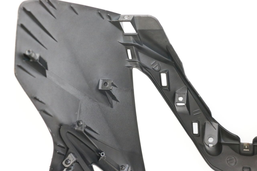 photo de FRONT PANEL DAELIM S3 125 (2010 - 2017) - Markings and original references