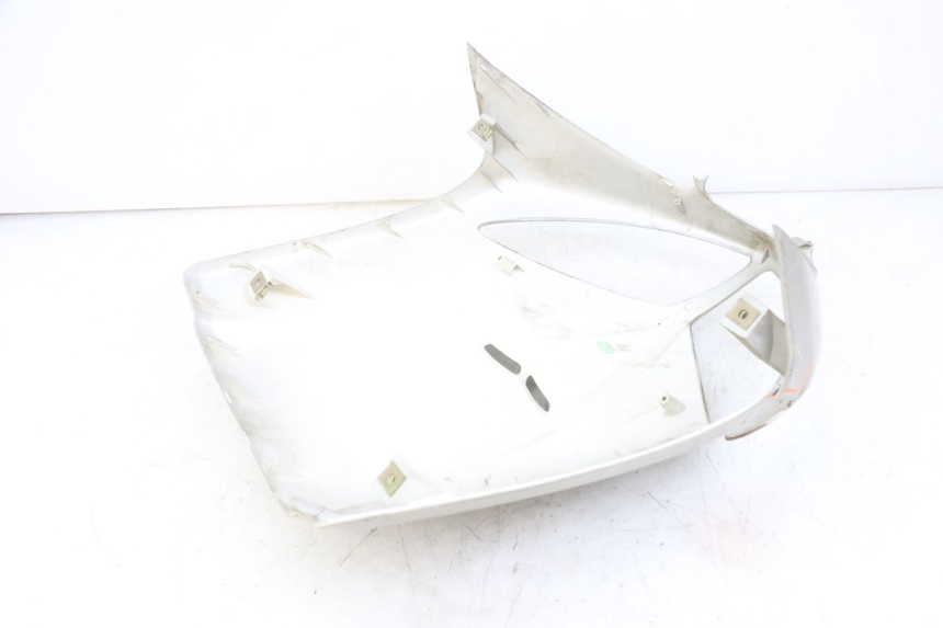 photo de FRONT PANEL PEUGEOT SPEEDFIGHT 100 (1997 - 2007) - Zoom on usage condition