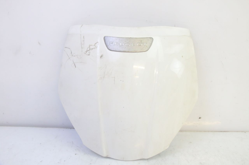 photo de UPPER FRONT FAIRING PEUGEOT TWEET PRO EFI 4T 50 (2021 - 2022) - Main view
