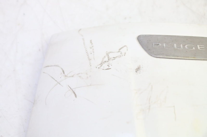 photo de UPPER FRONT FAIRING PEUGEOT TWEET PRO EFI 4T 50 (2021 - 2022) - Zoom on usage condition