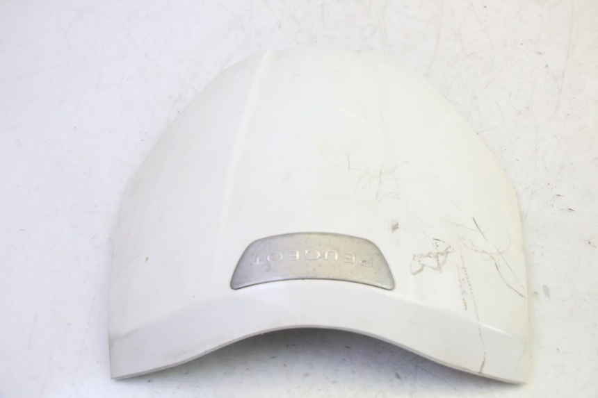 photo de UPPER FRONT FAIRING PEUGEOT TWEET PRO EFI 4T 50 (2021 - 2022) - Technical close-up