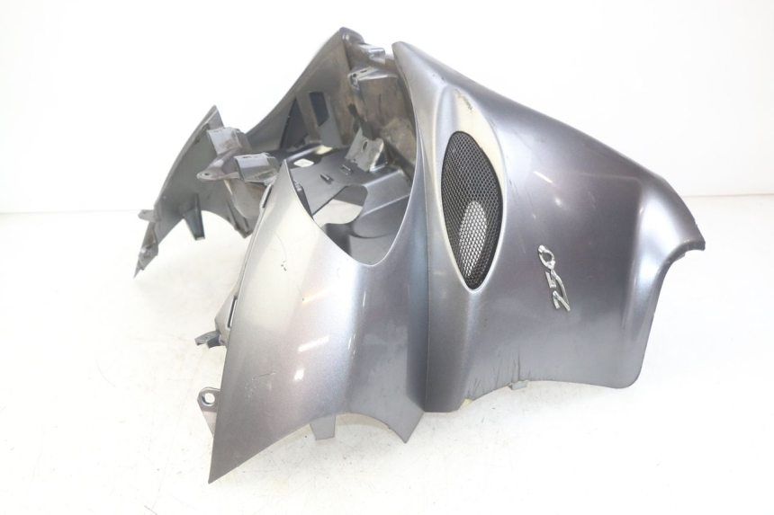 photo de FRONT PANEL PIAGGIO X9 EVOLUTION 250 (2003 - 2007) - Focus on structure