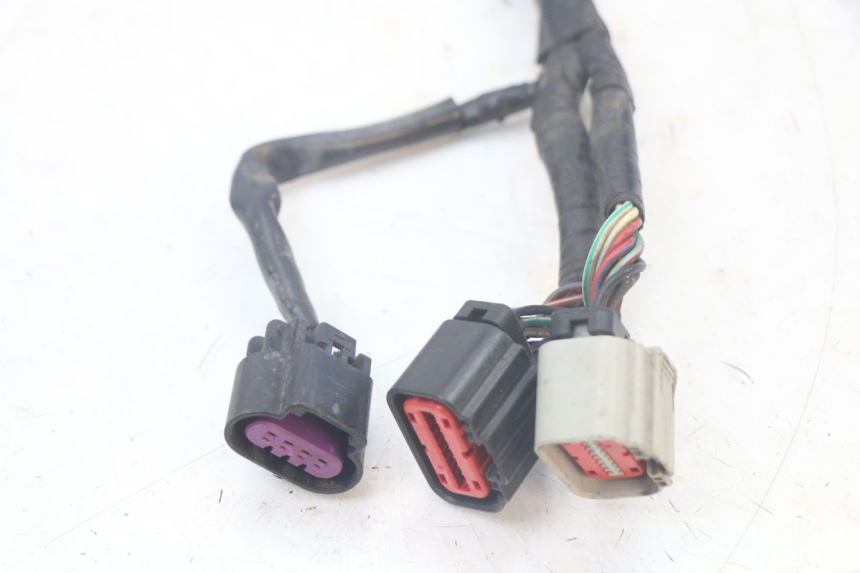 photo de WIRING HARNESS QUADRO 3D S 350 (2013 - 2018) - Alternative perspective
