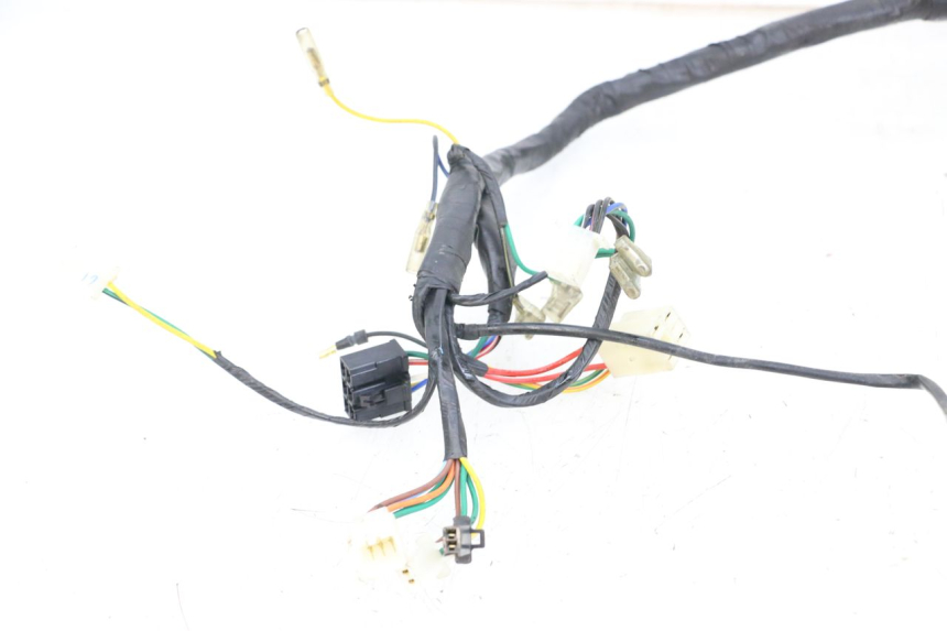photo de Wiring harness DAELIM A-FOUR 2T 50 (2005 - 2012) - Zoom on usage condition