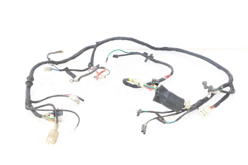 photo de WIRING HARNESS KYMCO AGILITY 4T 50 (2005 - 2018) - Main view