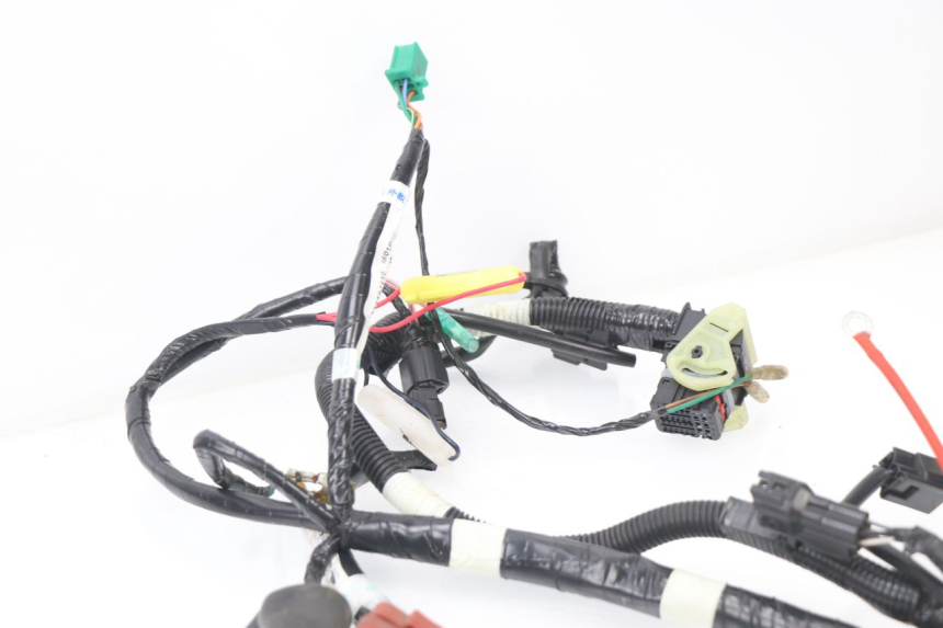 photo de WIRE HARNESS KYMCO AGILITY CITY 16P 125 (2015 - 2021) - Alternative perspective