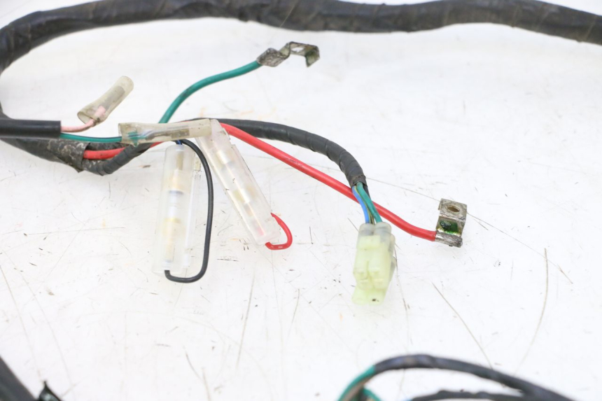 photo de WIRE HARNESS KYMCO AGILITY PREMIUM 50 (2007 - 2010) - Markings and original references