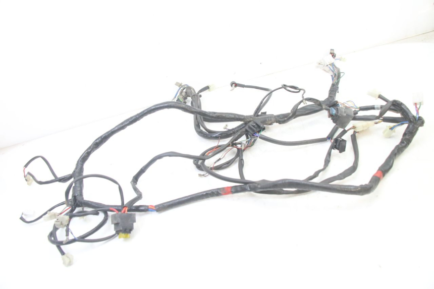 photo de WIRE HARNESS APRILIA ATLANTIC 125 (2003 - 2009) - Main view
