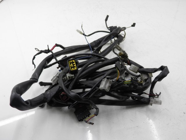 photo de WIRE HARNESS APRILIA LEONARDO ST 250 (2002 - 2005) - Main view