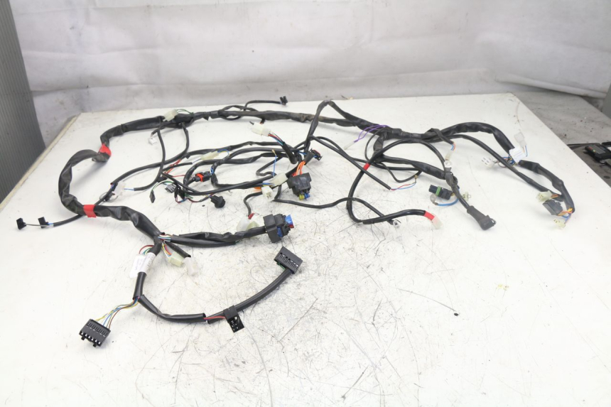 photo de WIRE HARNESS APRILIA ATLANTIC S 125 (2010 - 2013) - Main view
