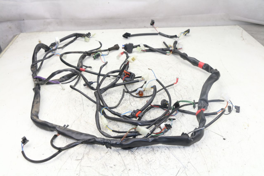 photo de WIRE HARNESS APRILIA ATLANTIC S 125 (2010 - 2013) - Zoom on usage condition