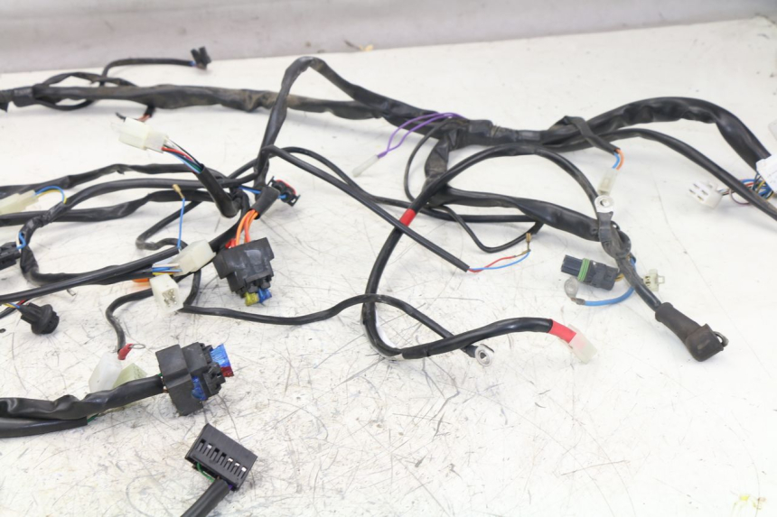 photo de WIRE HARNESS APRILIA ATLANTIC S 125 (2010 - 2013) - Product overview