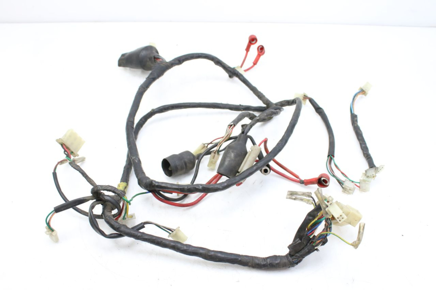 photo de WIRING HARNESS NECO AZZURO 4T 50 (2020 - 2023) - Main view