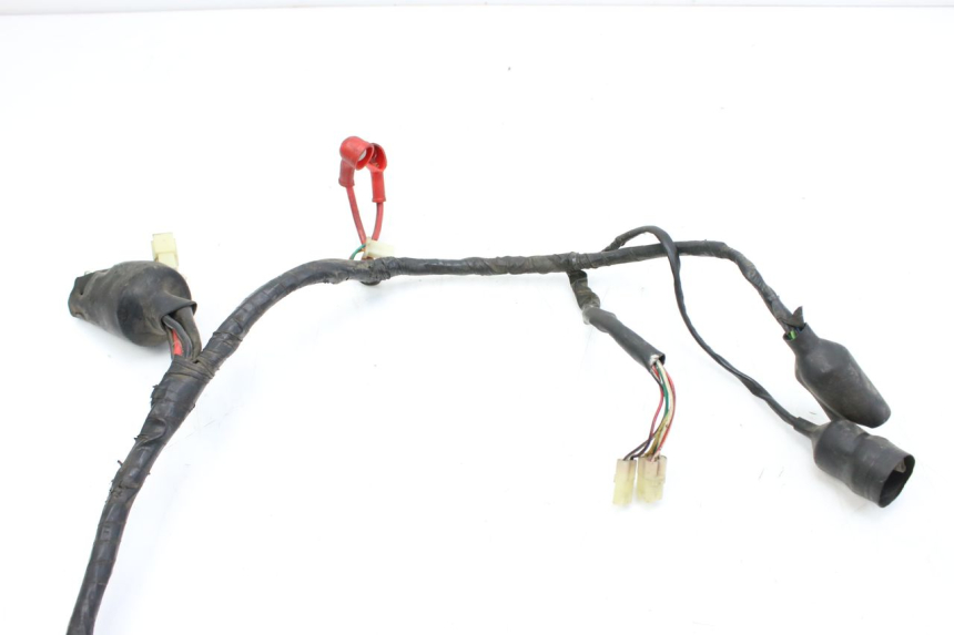 photo de WIRING HARNESS NECO AZZURO 4T 50 (2020 - 2023) - Alternative perspective