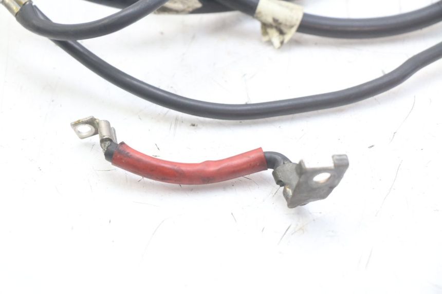 photo de BATTERY WIRE HARNESS HONDA FES PANTHEON 2T 125 (1998 - 2002) - Component detail