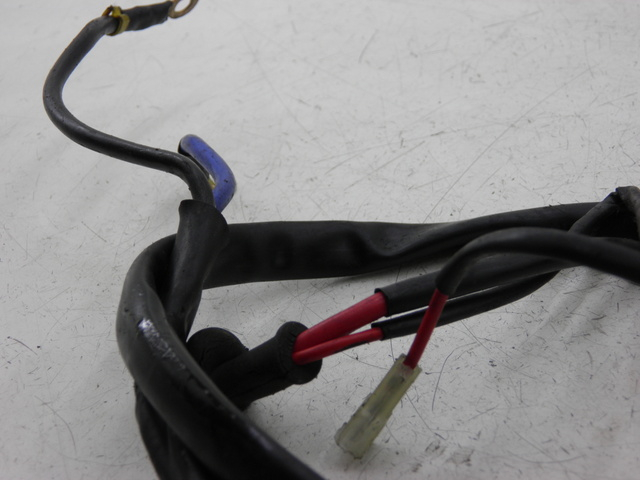 photo de BATTERY WIRE HARNESS LML DLX 2T 125 (2008) - Zoom on usage condition