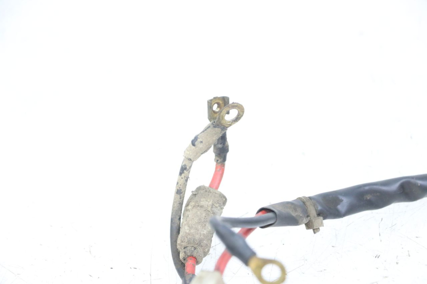 photo de BATTERY WIRING HARNESS PIAGGIO TYPHOON 80 (1994 - 1997) - Component detail