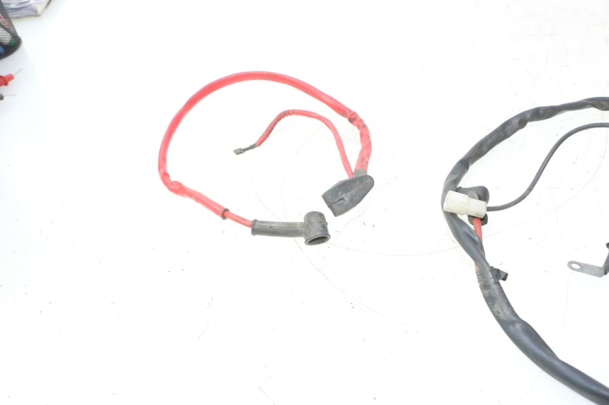 photo de BATTERY WIRING HARNESS YAMAHA YP MAJESTY 125 (2002 - 2006) - Zoom on usage condition