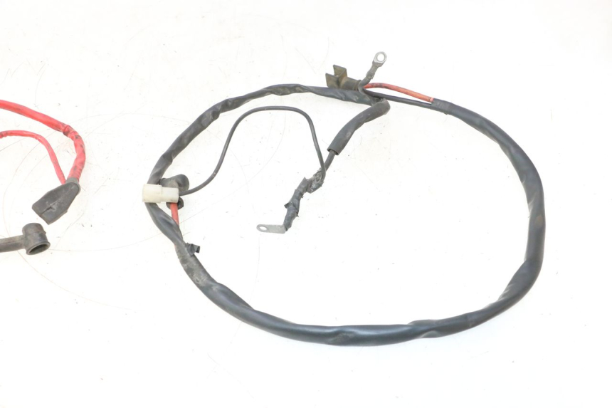 photo de BATTERY WIRING HARNESS YAMAHA YP MAJESTY 125 (2002 - 2006) - Alternative perspective