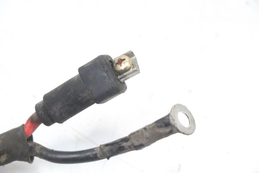 photo de BATTERY WIRE HARNESS PIAGGIO ZIP 2T 50 (2009 - 2019) - Component detail