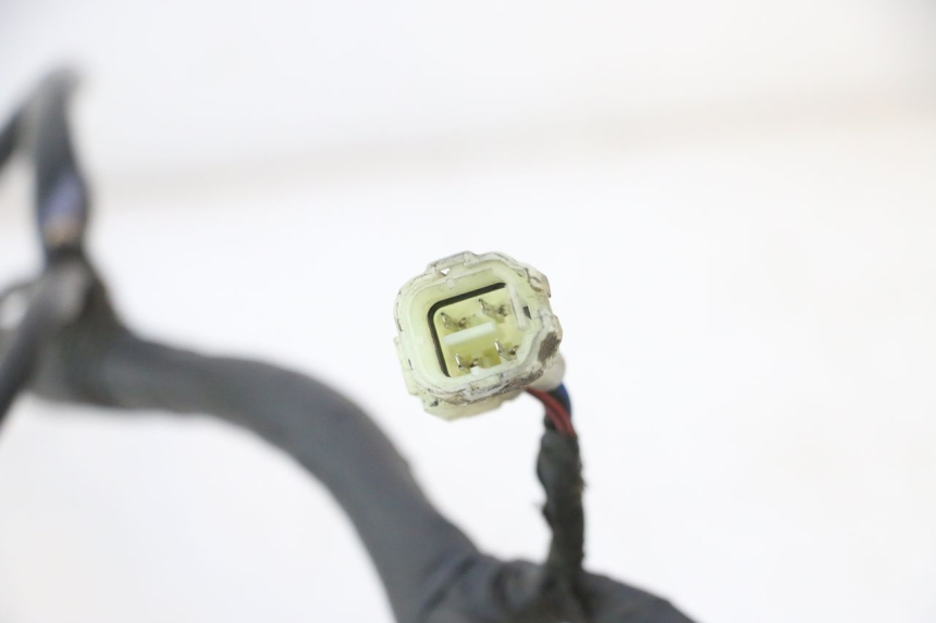 photo de WIRE HARNESS MASH BIBOP 2.0 50 (2021 - 2026) - Alternative perspective