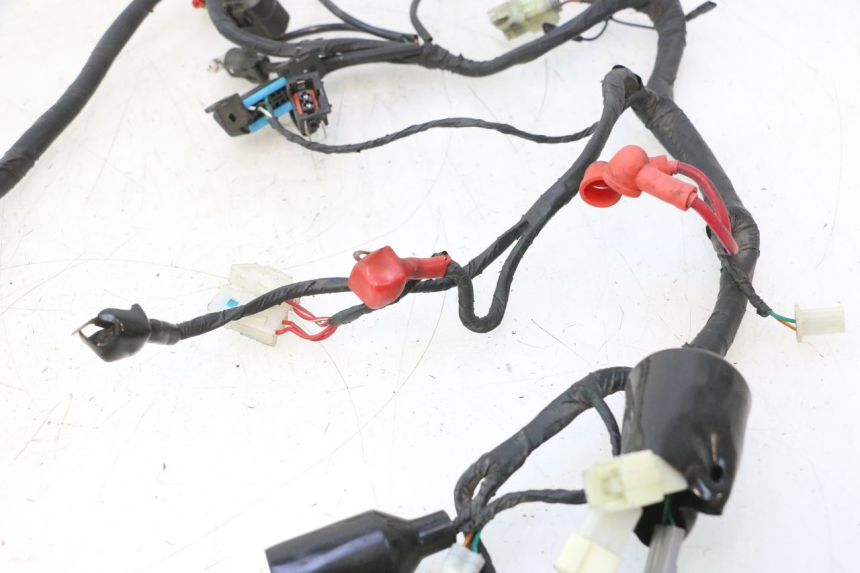 photo de WIRE HARNESS MASH BIBOP 2.0 50 (2021 - 2026) - Fixing points details