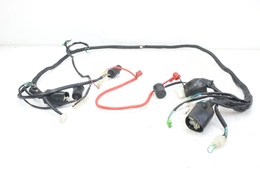 photo de WIRING HARNESS WILDLANDER BISCUIT 125 (2004 - 2010) - Main view