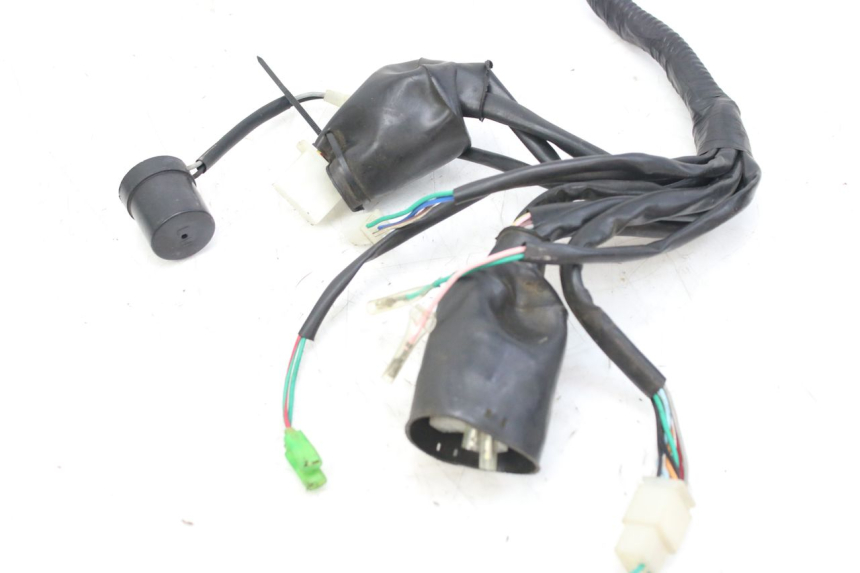 photo de WIRING HARNESS WILDLANDER BISCUIT 125 (2004 - 2010) - Component detail