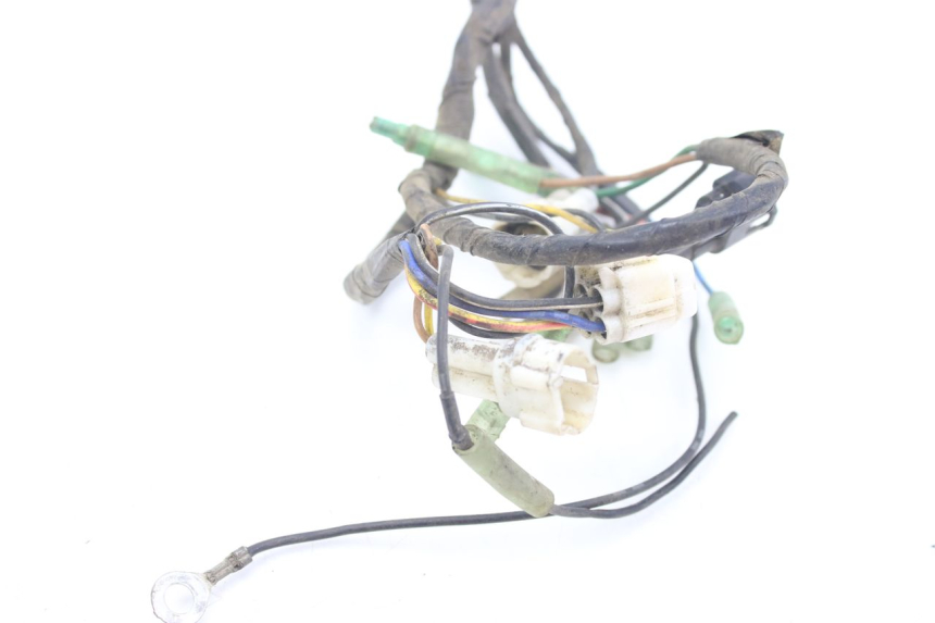 photo de WIRING HARNESS YAMAHA BLASTER 200 (1987 - 2002) - Alternative perspective