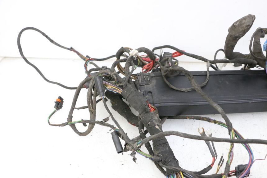 photo de WIRING HARNESS BMW C1 125 (2000 - 2003) - Distinctive features