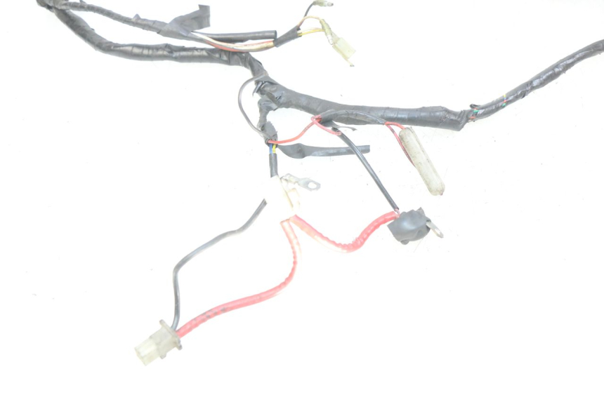 photo de WIRING HARNESS MBK BOOSTER NEXT GENERATION 50 (1995 - 1998) - Component detail