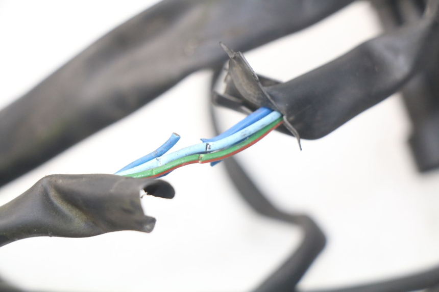 photo de WIRE HARNESS MV AGUSTA BRUTALE R WALLY 910 (2008 - 2008) - Component zoom