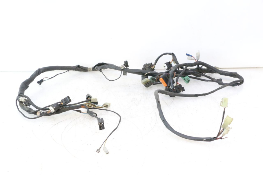 photo de WIRING HARNESS SUZUKI BURGMAN 125 (2007 - 2014) - Main view