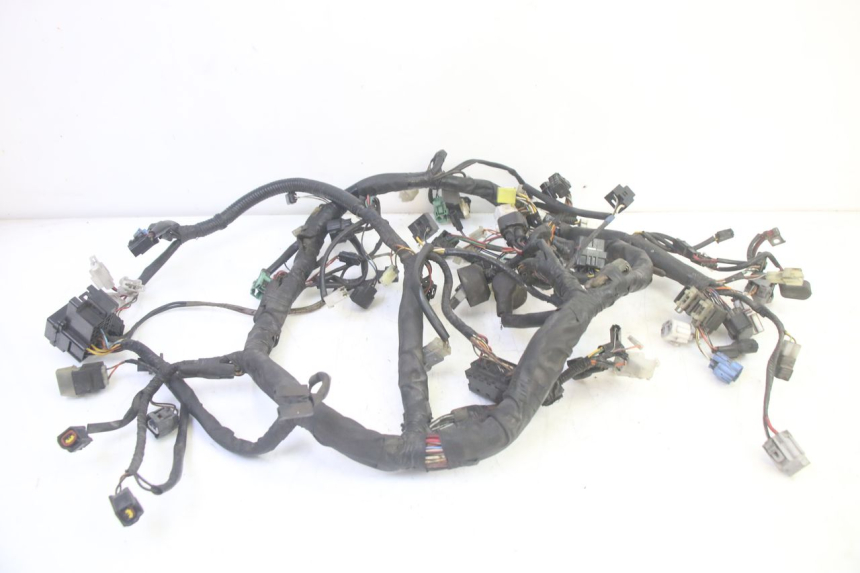 photo de WIRE HARNESS SUZUKI BURGMAN EXECUTIVE ABS 650 (2006 - 2012) - Main view