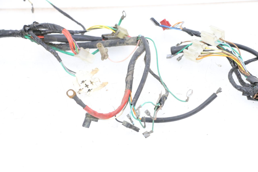 photo de WIRING HARNESS PEUGEOT BUXY 50 (1993 - 1998) - Technical close-up