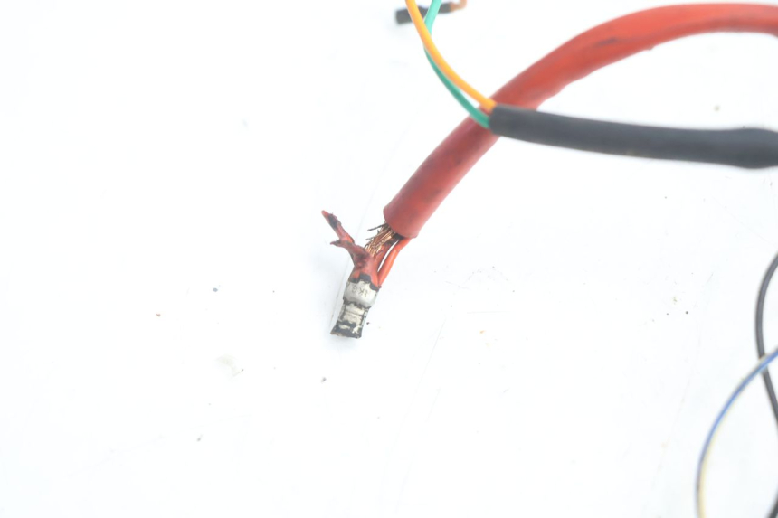 photo de WIRING HARNESS PEUGEOT BUXY 50 (1993 - 1998) - Fixing points details