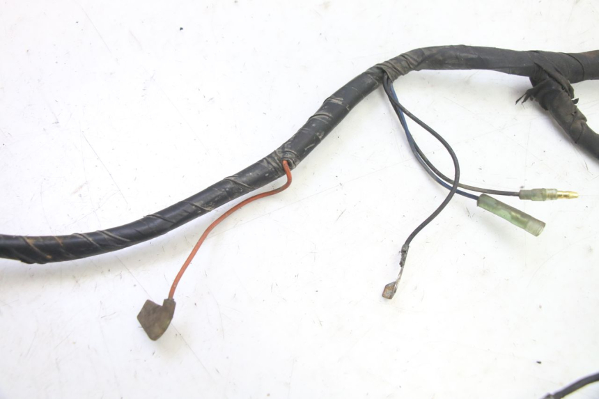photo de WIRE HARNESS YAMAHA BW'S 100 (1999 - 2002) - Alternative perspective