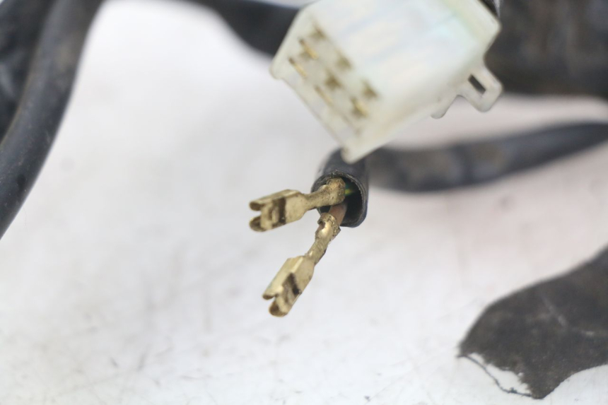 photo de WIRING HARNESS YAMAHA BW'S EASY 50 (2013 - 2016) - Checked used part